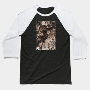 Chopped Tree Trunk Inner Rings Baseball T-Shirt